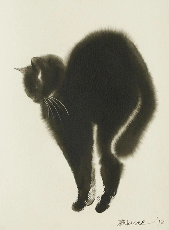 A cover of "Portfolio" cluster. The owner is noahdarcydev. The cluster consists of 1 element.