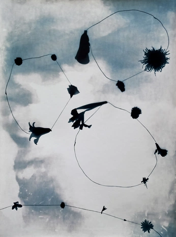 A cover of "Photography" cluster. The owner is punchi. The cluster consists of 1 element.