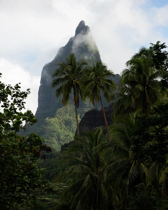 A cover of "Travel" cluster. The owner is sureisconn. The cluster consists of 8 elements.