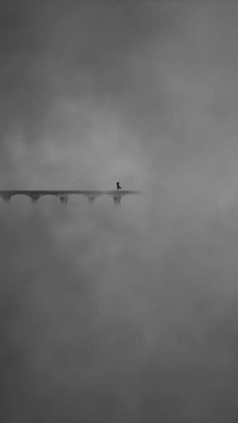 A cover of "WallPapers" cluster. The owner is brianf. The cluster consists of 7 elements.