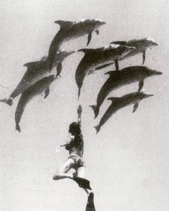 A cover of "Love" cluster. The owner is can123. The cluster consists of 7 elements.