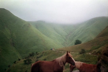 A cover of "Fotos" cluster. The owner is mathildus. The cluster consists of 9 elements.
