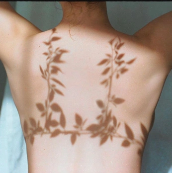 A cover of "bloom" cluster. The owner is kmurph. The cluster consists of 2 elements.