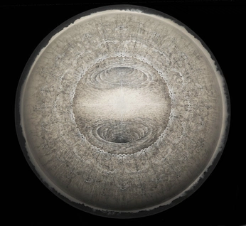 A cover of "🍥" cluster. The owner is qaiii. The cluster consists of 5 elements.