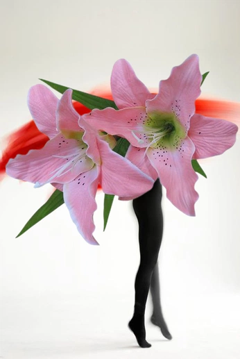 A cover of "FLOWERS" cluster. The owner is ashleydegley. The cluster consists of 16 elements.