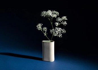 A cover of "vase inspi" cluster. The owner is saussicon. The cluster consists of 9 elements.