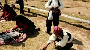 Lucas Veronese avatar