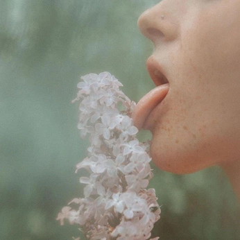 A cover of "flow ::" cluster. The owner is biancadjardins. The cluster consists of 36 elements.