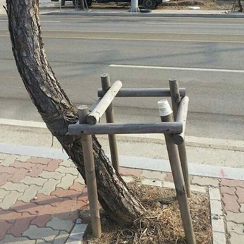 A cover of "gor" cluster. The owner is base01. The cluster consists of 3 elements.