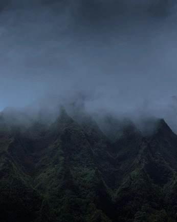 A cover of "ayura" cluster. The owner is hasanlilaman. The cluster consists of 9 elements.