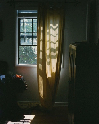 A cover of "Lived In" cluster. The owner is sheepparsley. The cluster consists of 7 elements.