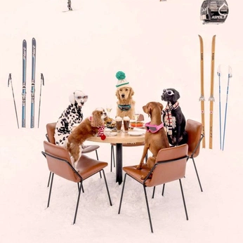 A cover of "Perritos" cluster. The owner is gatitosmunchkin. The cluster consists of 70 elements.