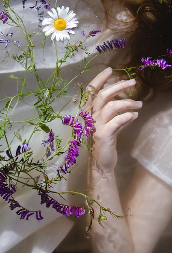 A cover of "Photography" cluster. The owner is quemquem. The cluster consists of 205 elements.