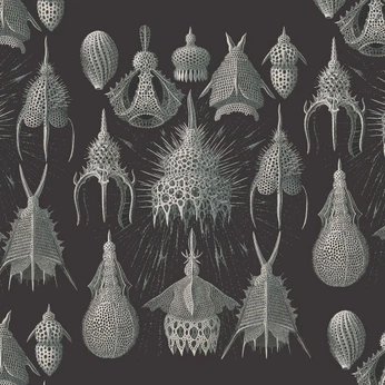 A cover of "Mixed Mediums" cluster. The owner is ajx333. The cluster consists of 113 elements.