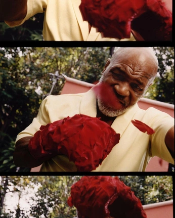 A cover of "🥊🥀" cluster. The owner is joker13z. The cluster consists of 24 elements.