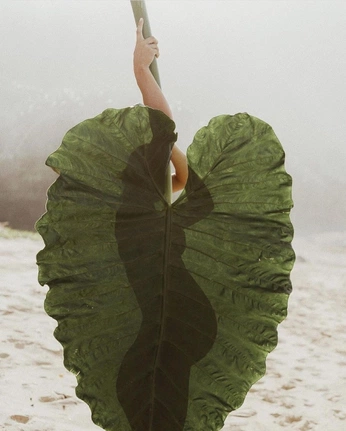 A cover of "womanhood" cluster. The owner is mamamariana. The cluster consists of 36 elements.