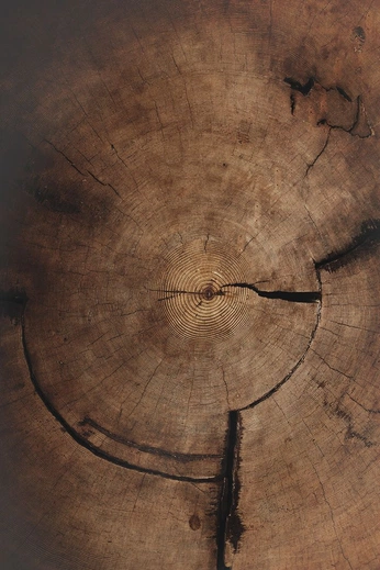 A cover of "Jaq" cluster. The owner is soundharya. The cluster consists of 200 elements.