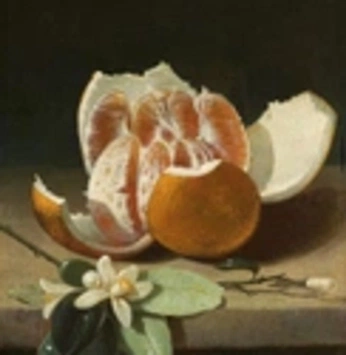 A cover of "Divinity" cluster. The owner is maikalindsay. The cluster consists of 3 elements.