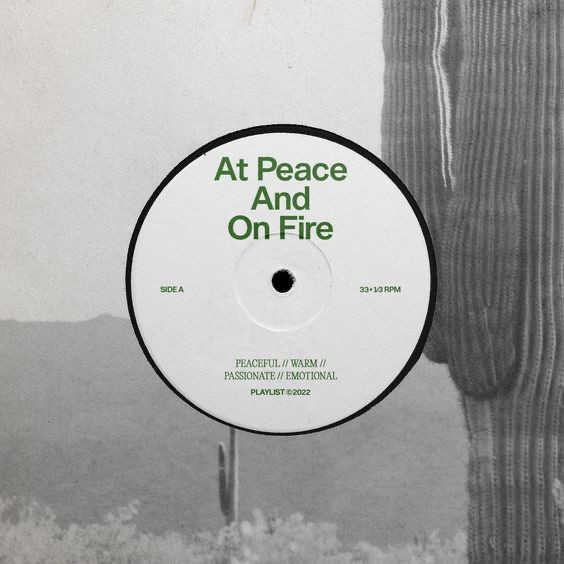 An image added by synonime on Jun 28, 2023. May present: sleeve, tree, font, circle, data storage device.