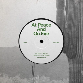 A cover of "Album Art" cluster. The owner is raefrauda. The cluster consists of 68 elements.