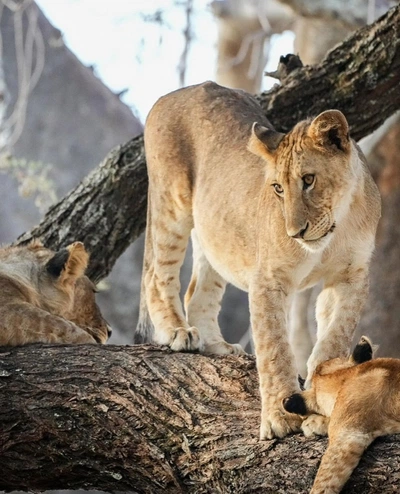 An Instagram carousel post added by annie on Apr 08, 2024. The author is @brenden_simonson.