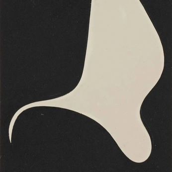 A cover of "black and whites" cluster. The owner is alessacreative. The cluster consists of 15 elements.