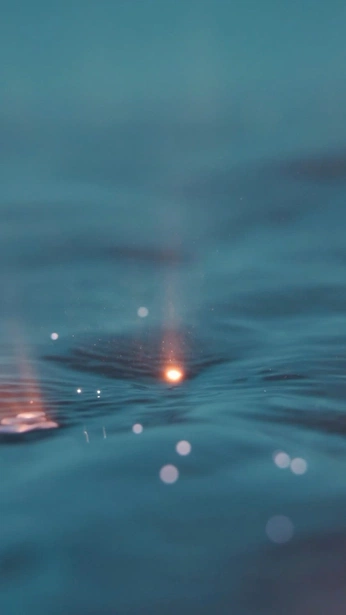 A cover of "BIOMA LA MAR" cluster. The owner is daniboanova. The cluster consists of 266 elements.