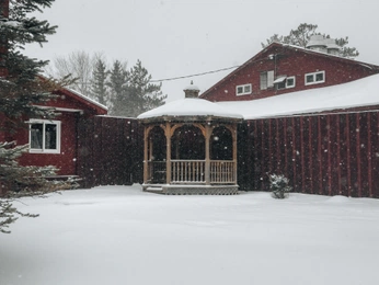 A cover of "Starlight" cluster. The owner is malcolm. The cluster description is "Camp Starlight, PA. MLK Jr Weekend 2025.". The cluster consists of 21 elements.