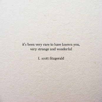 A cover of "literary inspo" cluster. The owner is ninacl. The cluster consists of 11 elements.