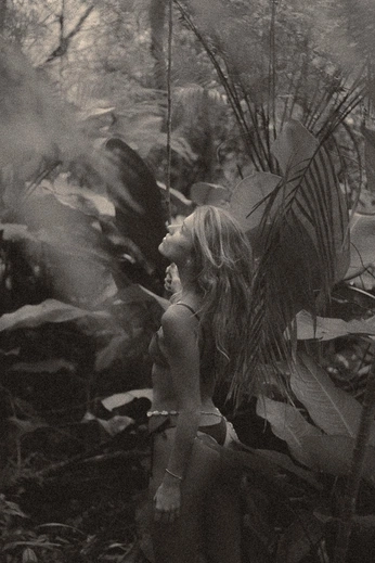 A cover of "dream life" cluster. The owner is jamiecjpg. The cluster consists of 12 elements.