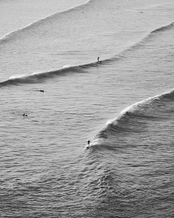 A cover of "Inspo fotoprojekt" cluster. The owner is hampusnordstrom. The cluster consists of 66 elements.