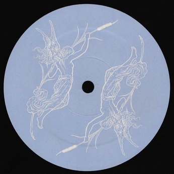 A cover of "vinyl" cluster. The owner is irenexsv. The cluster consists of 50 elements.