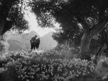 A cover of "movie scenes" cluster. The owner is faezahmed. The cluster consists of 3 elements.