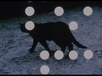 A cover of "LYNX" cluster. The owner is ecncreative. The cluster consists of 34 elements.