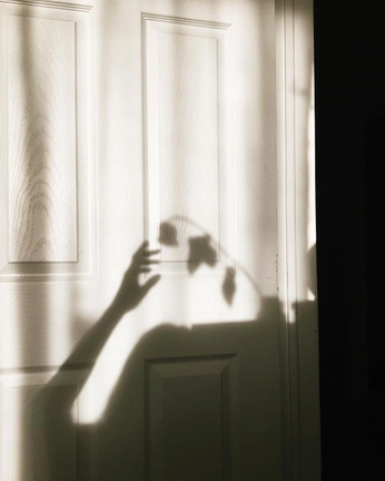 A cover of "Shadow" cluster. The owner is daisytamsoy. The cluster consists of 3 elements.