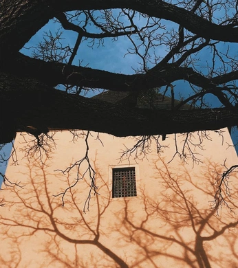 A cover of "Fotografia" cluster. The owner is maiicarra. The cluster consists of 6 elements.