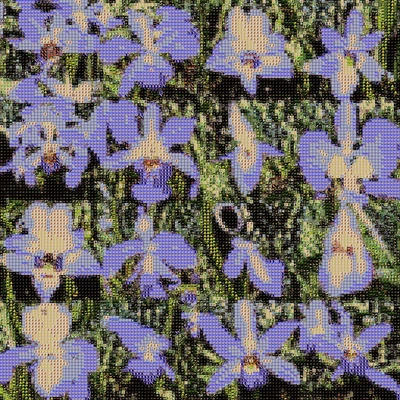 An Instagram carousel post added by backpainbaby on Sep 10, 2023. The author is @sofiacrespo.