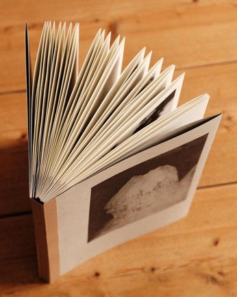 A cover of "bookbinding" cluster. The owner is ingridonscreen. The cluster consists of 10 elements.