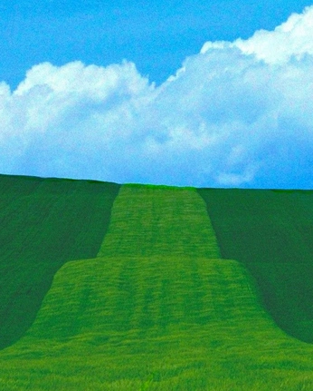 A cover of "truman" cluster. The owner is camilla.s. The cluster consists of 13 elements.