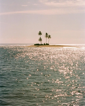 A cover of "i: night island." cluster. The owner is cassiline. The cluster consists of 13 elements.