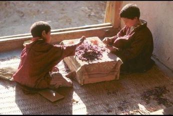 A cover of "Nice photos" cluster. The owner is iamthemilkman. The cluster consists of 2 elements.