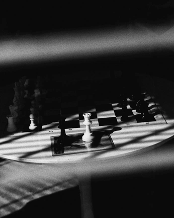 A cover of "shelter" cluster. The owner is faydedmotion. The cluster consists of 3 elements.