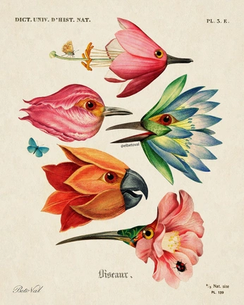 A cover of "Biodiversite" cluster. The owner is ines.cazaux. The cluster consists of 26 elements.