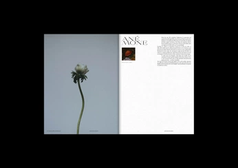 A cover of "edtrl" cluster. The owner is pers.pective. The cluster consists of 2 elements.