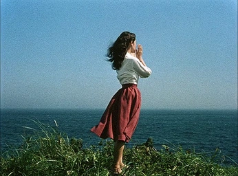 A cover of "Life" cluster. The owner is moonston.e. The cluster consists of 244 elements.