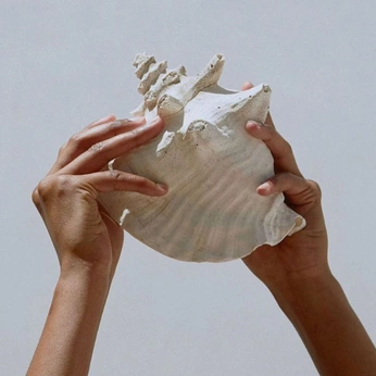 A cover of "element 2" cluster. The owner is mayaboluktas. The cluster consists of 14 elements.