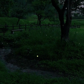 A cover of "the fairy ring" cluster. The owner is ateez. The cluster description is "for all my witchy darlings". The cluster consists of 90 elements.