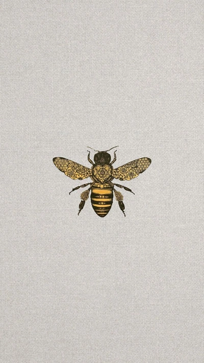 insects (@periculosamente) / Cosmos