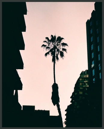 A cover of "Foto" cluster. The owner is maferpa. The cluster consists of 1 element.