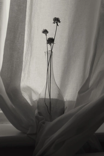 A cover of "details" cluster. The owner is apppr. The cluster consists of 1 element.